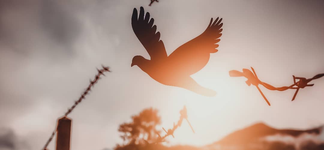 Verso o versiculo diario