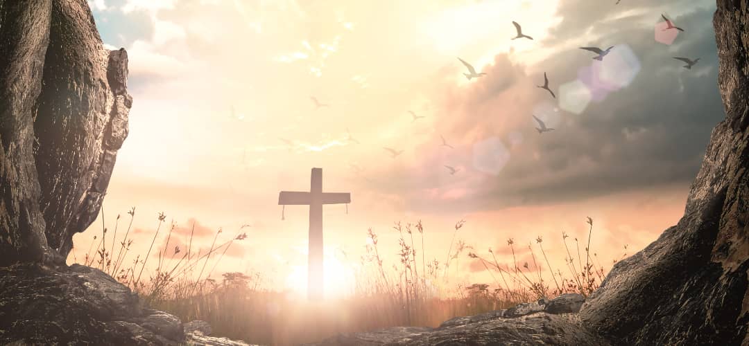 Verso o versiculo diario