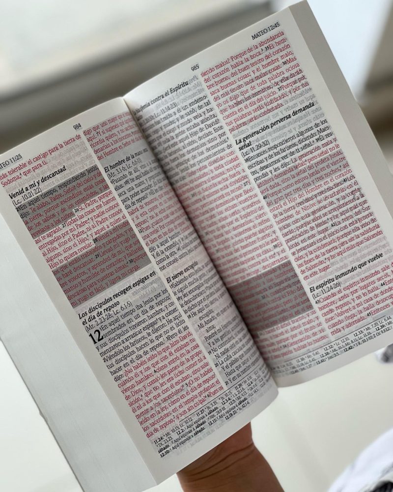 Página de un libro con texto resaltado en color rojo.**