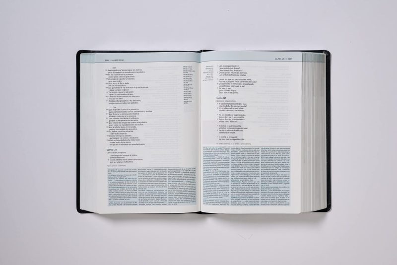 Un libro abierto con texto en español sobre un fondo blanco, mostrando las páginas que contienen el Salmo 119 y el Salmo 120.