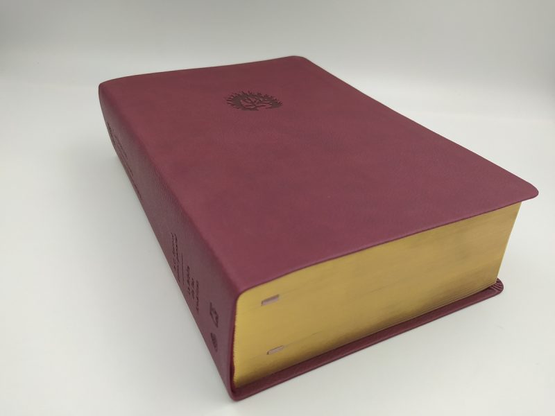 Un libro de tapa dura con cubierta granate y dorso con detalles en relieve, páginas doradas y una cinta marcadora.