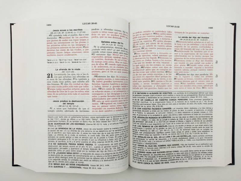 ** Una vista abierta de un libro con texto en negro y rojo, mostrando diversas secciones y capítulos.