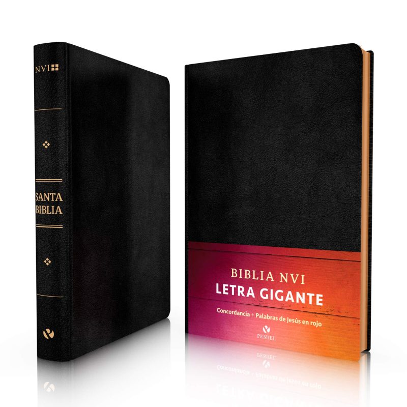 Dos ejemplares de la Santa Biblia en versión NVI (Nueva Versión Internacional) con tapa dura negra. Uno está de pie mostrando el lomo con letras doradas y el símbolo NVI, y el otro está acostado, mostrando la portada que incluye las palabras 'Biblia NVI Letra Gigante' en degradado de rojo a naranja.