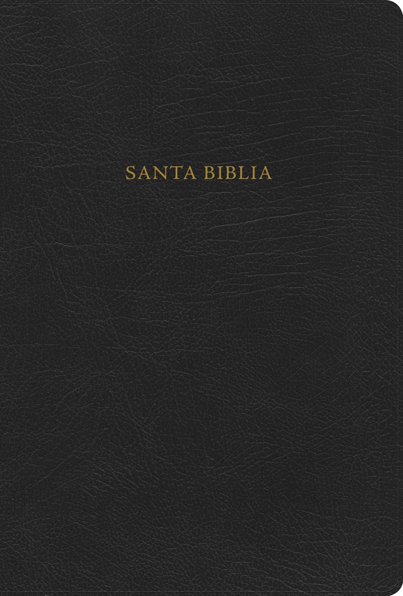 Portada de una Santa Biblia con una cubierta de imitación de cuero negro y letras doradas centradas.