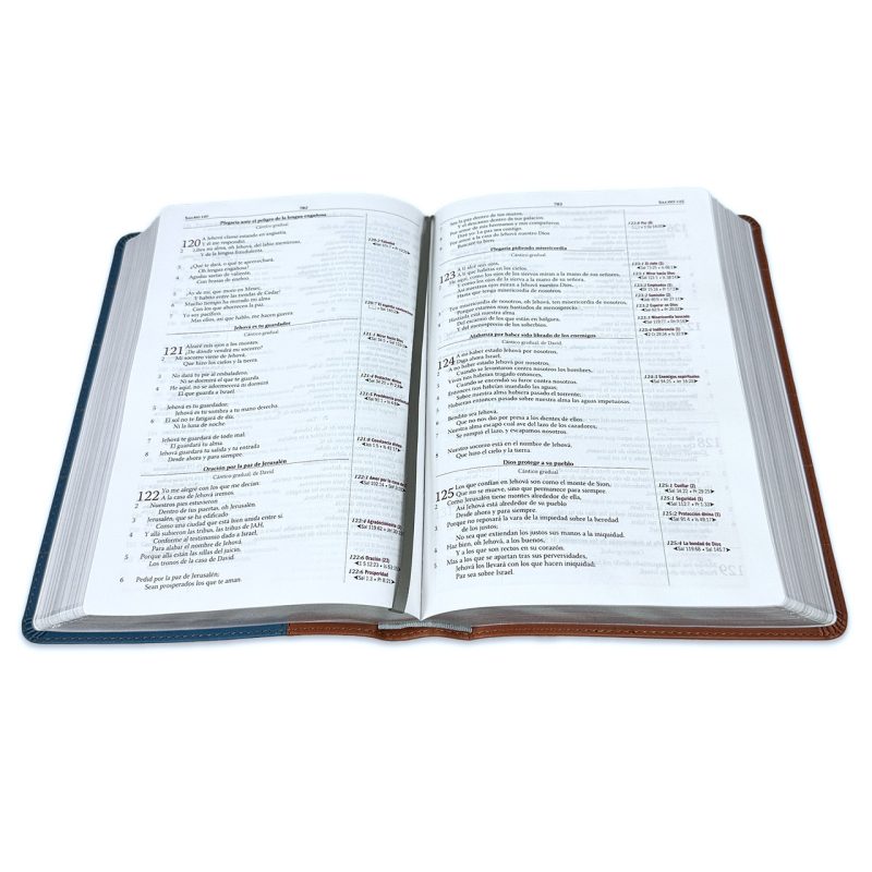 ** Imagen de una Biblia abierta, mostrando texto en sus páginas blancas.