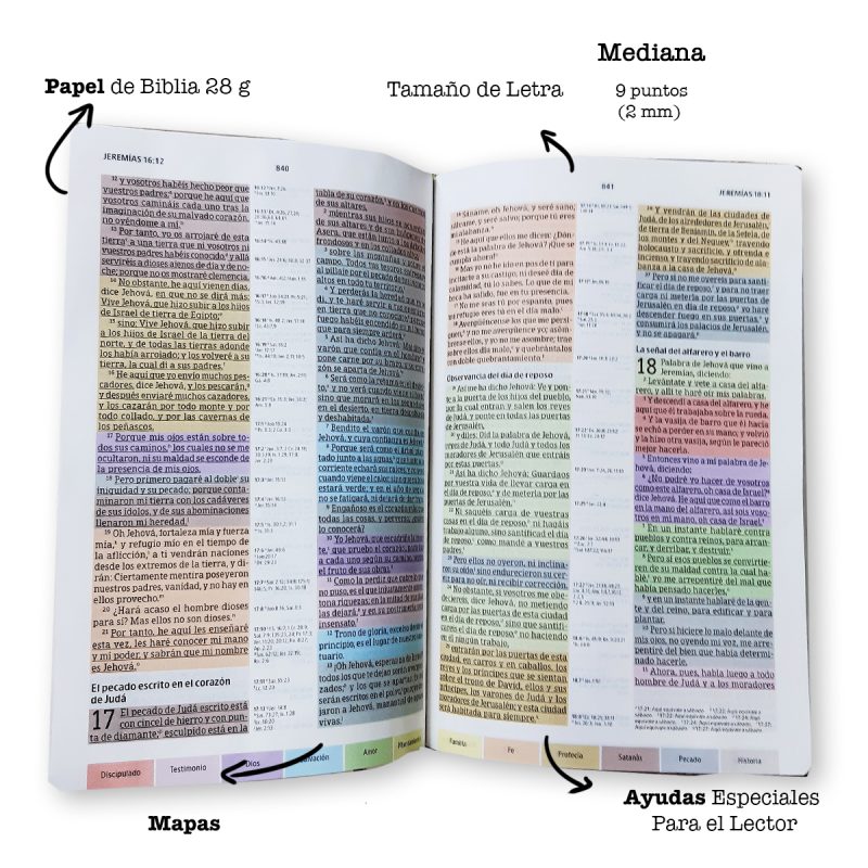 ** Vista abierta de una Biblia que muestra diferentes secciones de texto en colores variados, indicando papel ligero, tamaño de letra mediana, mapas y ayudas especiales para el lector.
