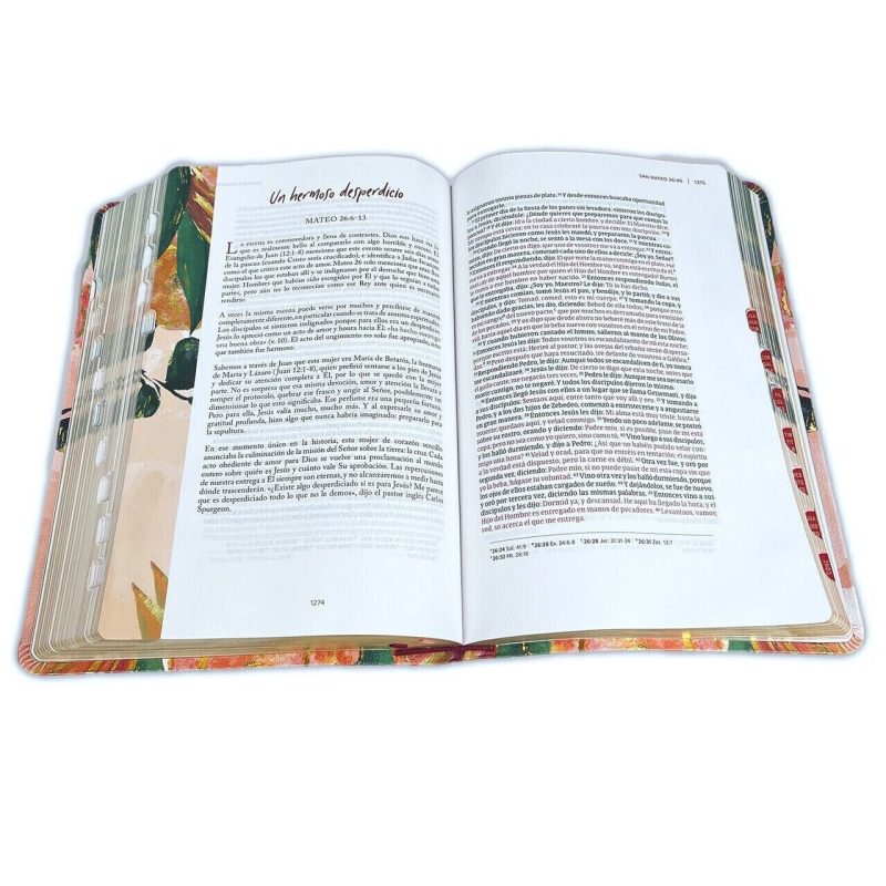 ** Imagen de un libro abierto mostrando páginas con texto y coloridas ilustraciones en los bordes.