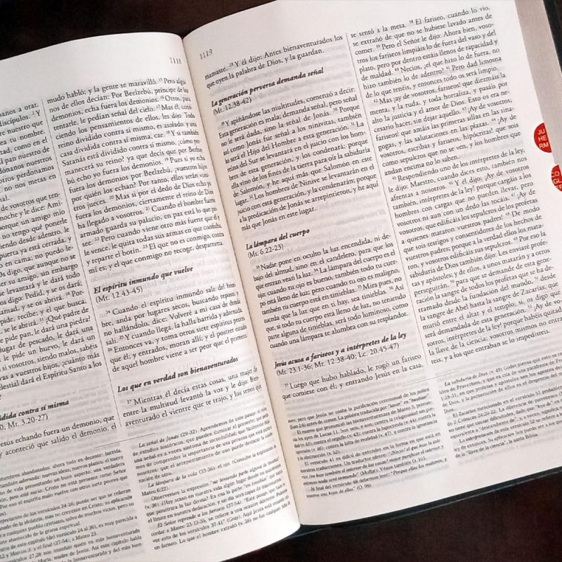 Biblia De Estudio Explicada/Piel Especial/Negra - Image 3