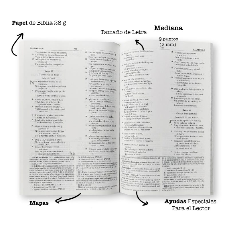 ** Una página abierta de una Biblia con anotaciones que señalan el tipo de papel, el tamaño de letra, y las ayudas especiales para el lector. Incluye mapas y tiene letra de tamaño mediano de 9 puntos.