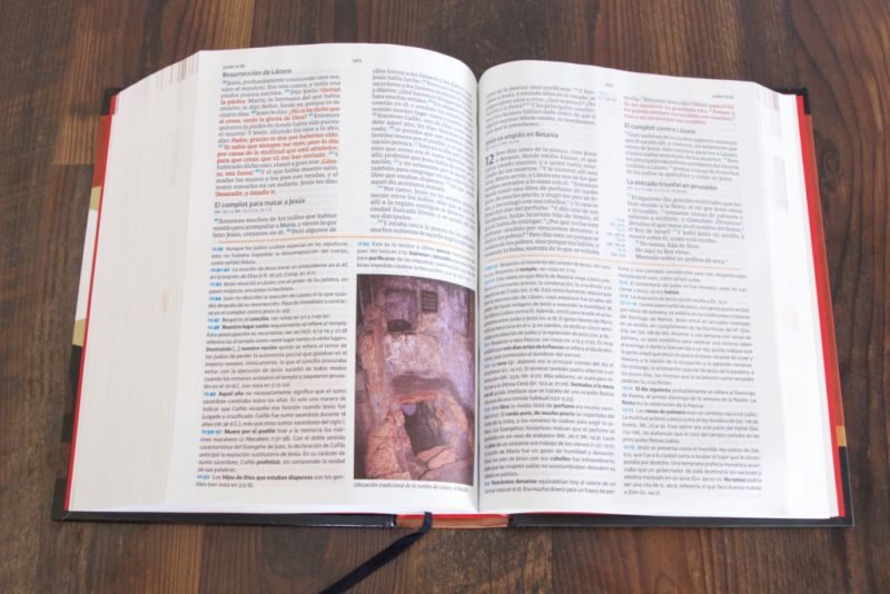 ** Libro abierto sobre una mesa de madera, mostrando texto en español y una imagen en el centro.