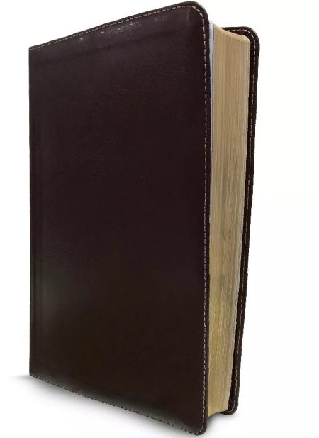 Libro cerrado con tapas de cuero marrón oscuro y páginas de borde dorado.