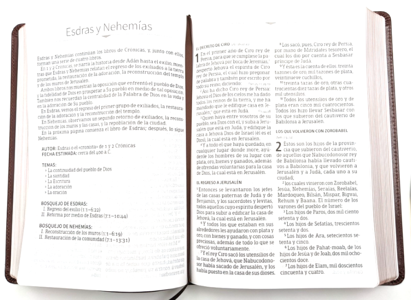 ** Imagen de una Biblia abierta en las páginas de los libros de Esdras y Nehemías.