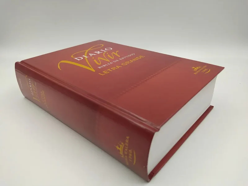** Primer plano de un libro rojo titulado "Día a Día con María, Meditaciones para el camino".