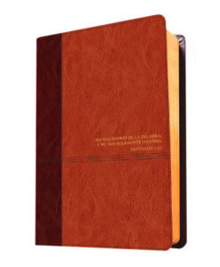 Biblia De Estudio Diario Vivir/RVR60/SentiPiel Cafe/Cafe Claro/Nueva