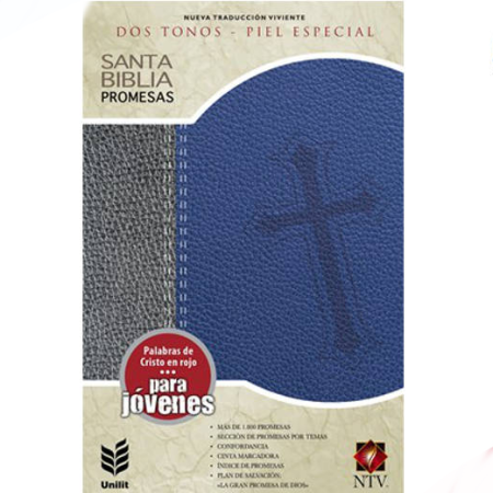 Portada de una Biblia en tonos de gris y azul, con una cruz y el texto 'Santa Biblia Promesas' visible en la parte superior.