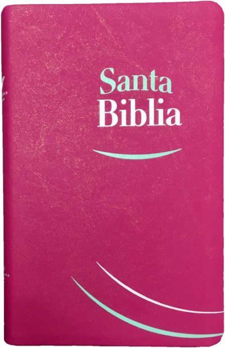 ** Imagen de una Biblia con cubierta rosada y el texto "Santa Biblia" en la portada.