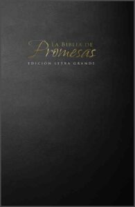Biblia RVR60 Promesas Letra Grande [Biblia]