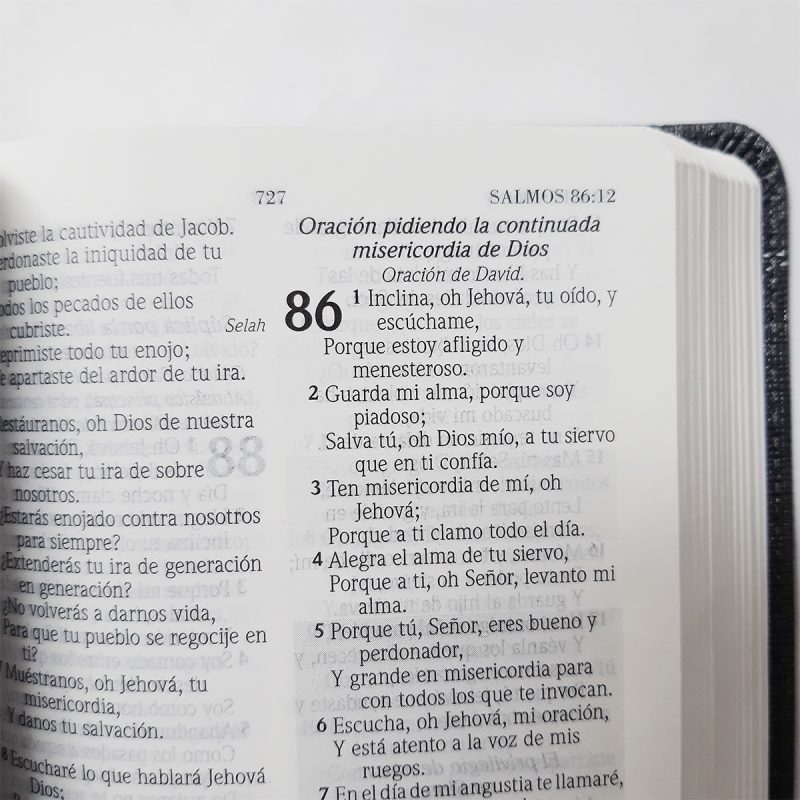 ** Primer plano de una página de libro abierta mostrando el Salmo 86.