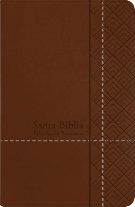 ** Cubierta marrón de una Biblia con un diseño geométrico en el borde derecho y texto impreso en la portada.