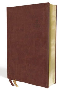 Biblias RVR60/Letra Grande/Serie 50 (10)/Cafe/Tamaño Manual [Biblia]