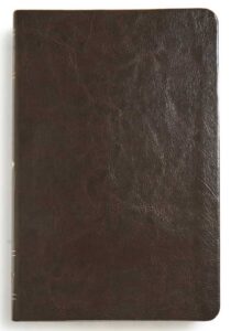 Biblia de Estudio Scofield Tamaño Personal [Biblia]