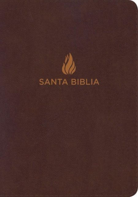 ** Tapa de una Biblia con cubierta marrón y texto "Santa Biblia" en el centro.