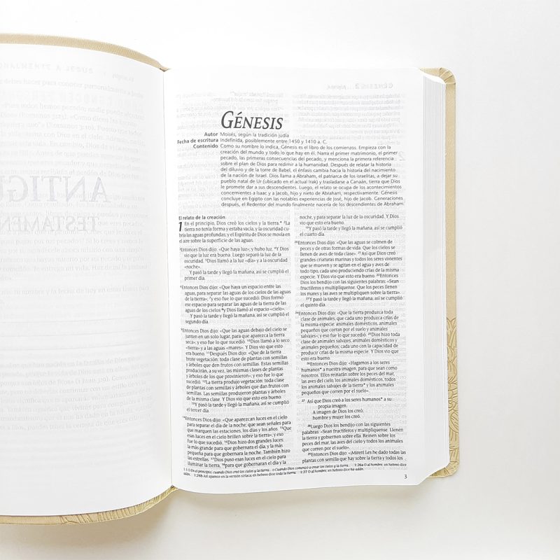 ** Página abierta del libro de Génesis en la Biblia sobre fondo blanco
