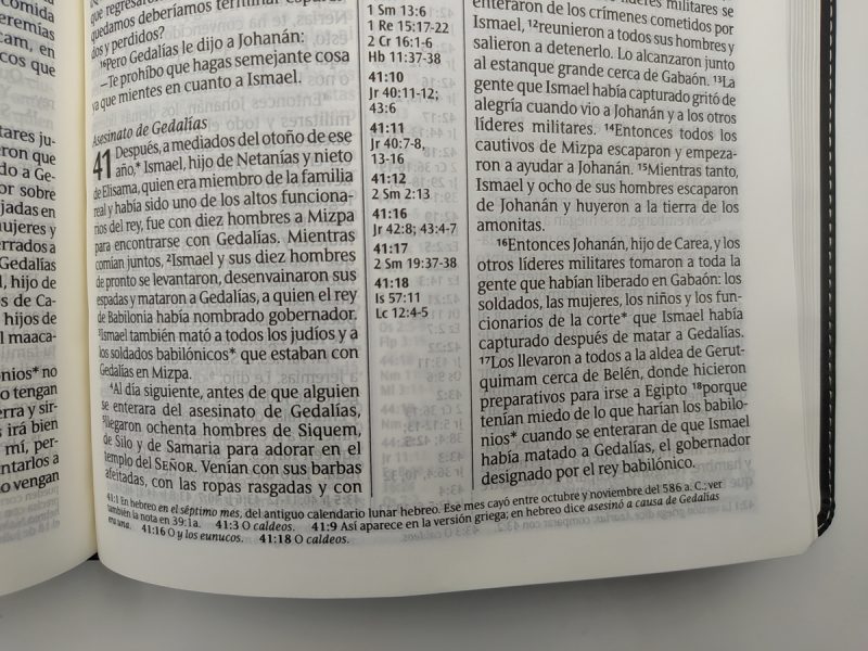 ** Página abierta de un libro religioso con texto en español, mostrando los capítulos 40 y 41.