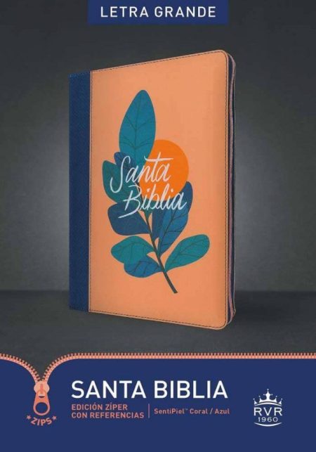 ** Biblia de tapa dura con diseño moderno azul y coral junto a hojas verdes, con texto "Santa Biblia".