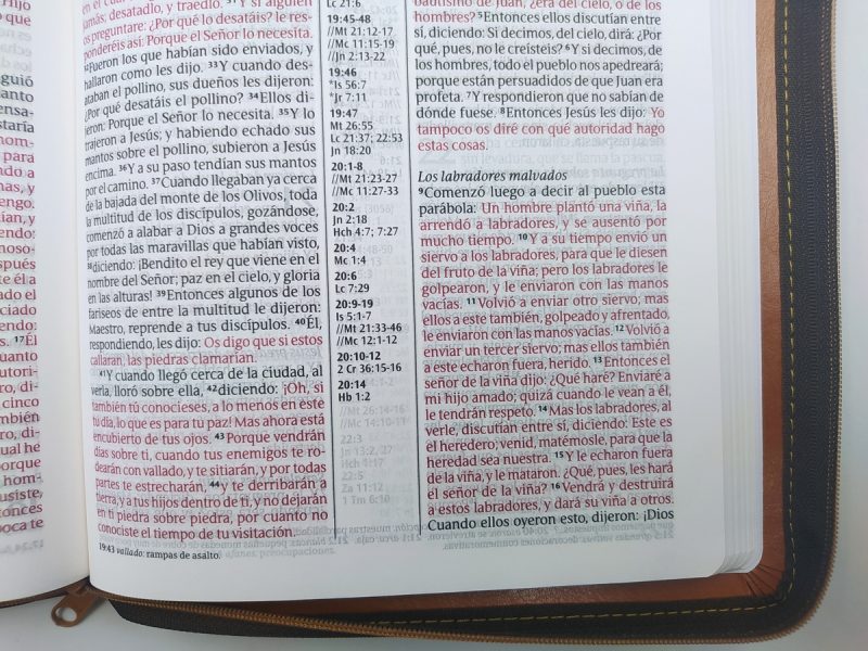 ** Página abierta de una Biblia con texto en negro y rojo, junto a un borde de piel marrón.