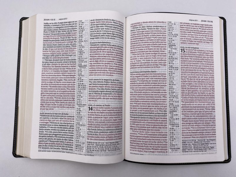 Biblia RVR60/Edicion De Referencia/Ultrafina/Negro/Letra Grande - Image 4
