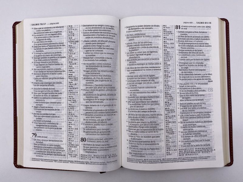 Biblia RVR60/Edicion De Referencia/Ultrafina/Cafe Rojizo/Letra Grande - Image 7