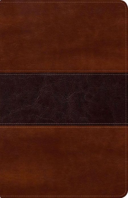 ** Portada de libro o cuaderno con diseño de cuero marrón con franja central más oscura.