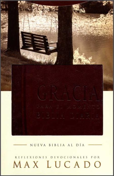 Gracia para el Momento" de Max Lucado, con un columpio colgando de un árbol junto a un lago tranquilo.