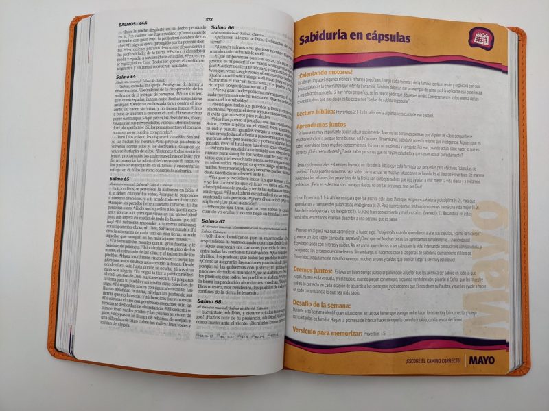 Biblia Devocional Familiar NBV/Lujo - Image 3
