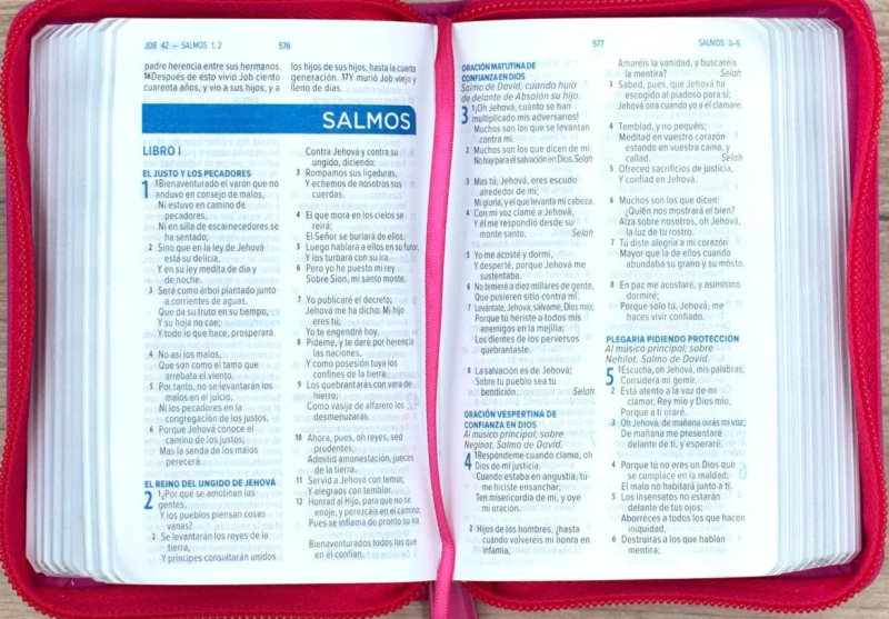 ** Biblia abierta mostrando las páginas del libro de los Salmos en un estuche rojo.