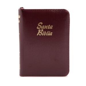 Biblia /RVR025cZTILMa PJR/ Vino tinto