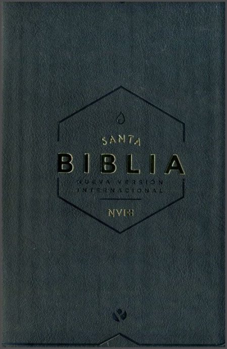 ** Portada de la Santa Biblia con diseño oscuro y letras doradas