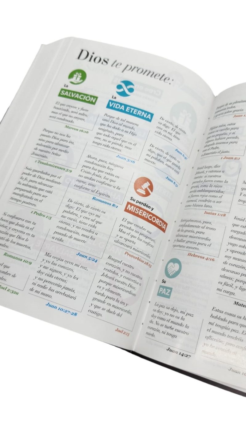 ** Una página de una Biblia con promesas divinas destacadas en ella.