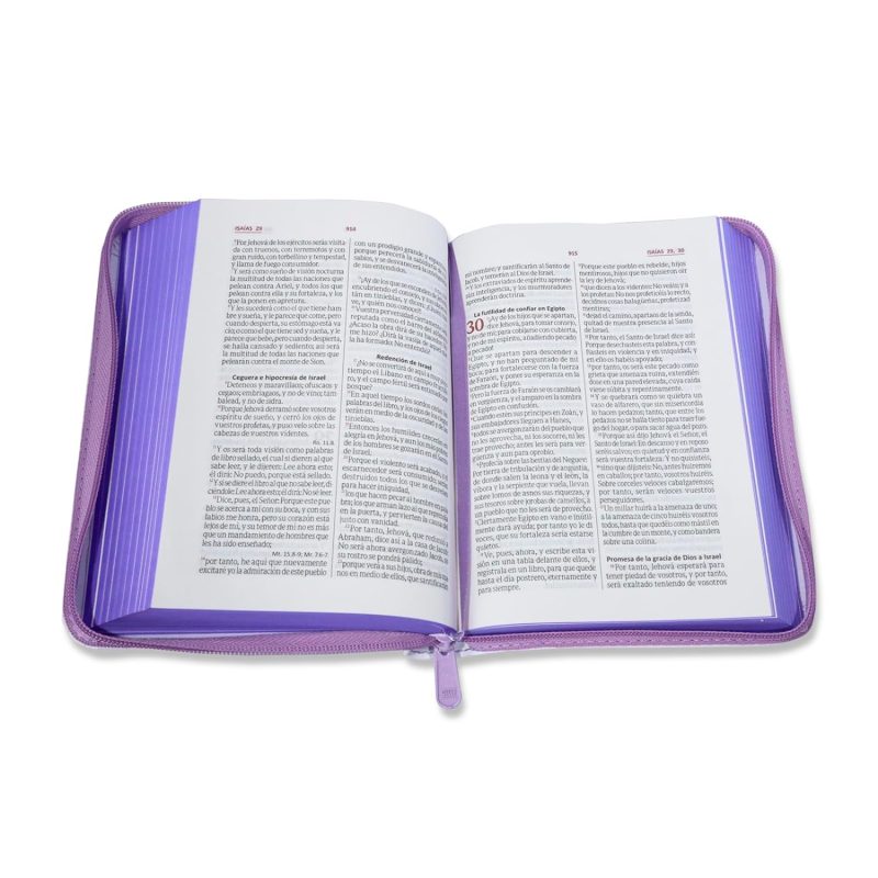 BIBLIA RVR BLANCO MARIPOSAS Tapa blanda 5