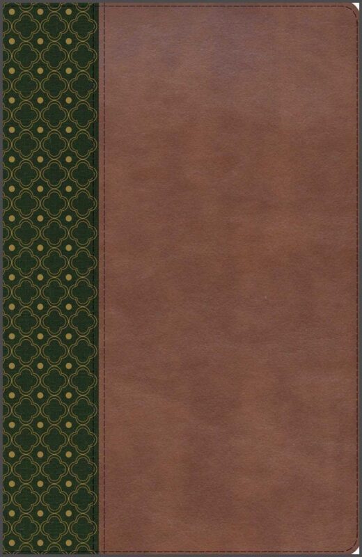 ** Portada de un diario marrón con una banda verde y motivos geométricos.