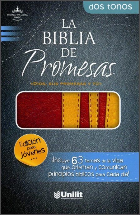 ** Portada de la Biblia de Promesas para jóvenes, edición dos tonos.