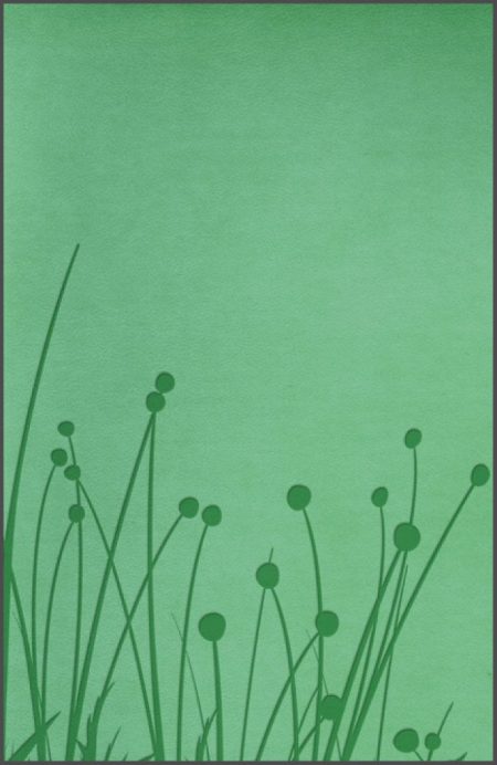  Ilustración de siluetas de hierbas y plantas sobre un fondo verde.