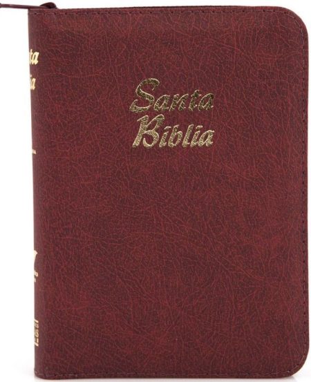 ** Vista frontal de una Biblia con tapa de color marrón y texto dorado en la portada.