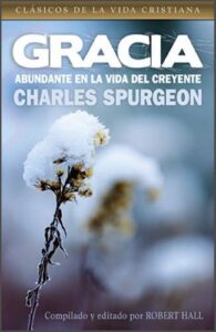 Gracia Abundante En La Vida [Libro]