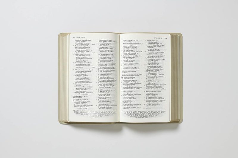 ** Imagen de un libro abierto mostrando dos páginas impresas en un fondo blanco.