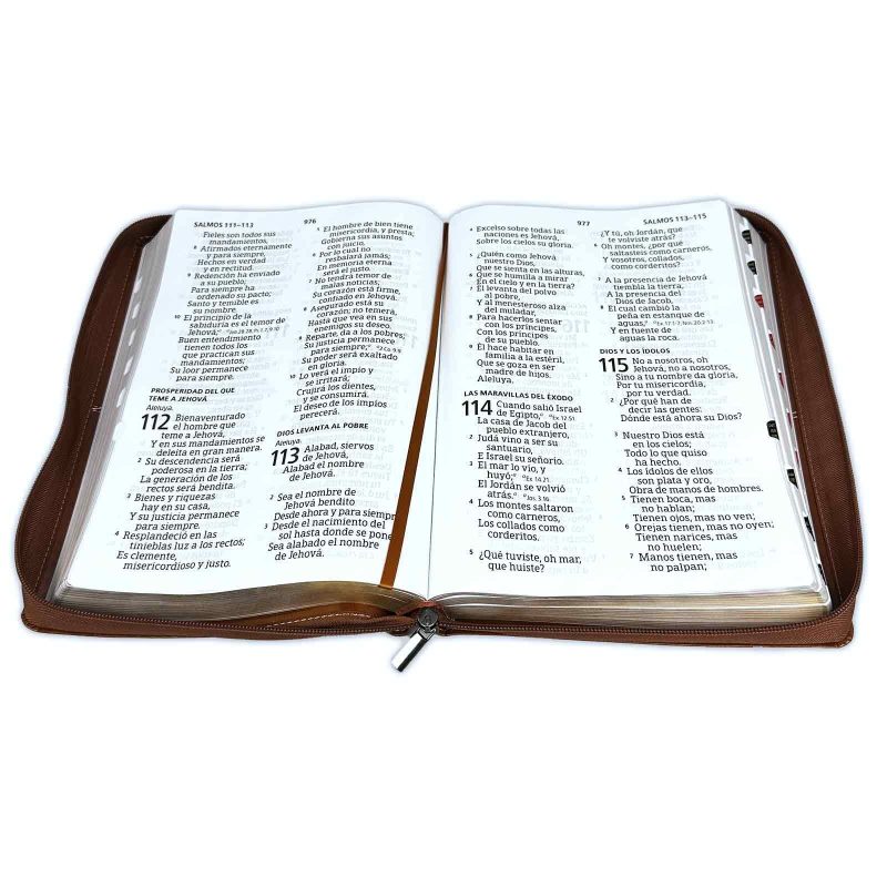 ** Imagen de una Biblia abierta mostrando los Salmos.