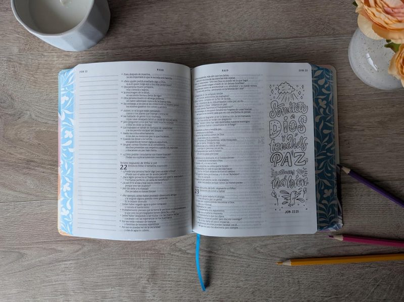 Biblia Inspira NTV (SentiPiel Paraíso floral) Con Filament - Image 2