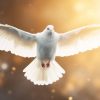 Paloma blanca volando con las alas extendidas iluminadas por la luz del sol.
