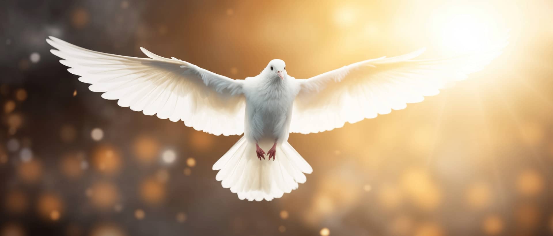 Las Promesas de Dios en la Biblia: Un Viaje de Fe y Esperanza 1 Paloma blanca volando con las alas extendidas iluminadas por la luz del sol.